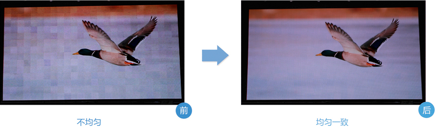 优德88w·(中国区)有限公司官网